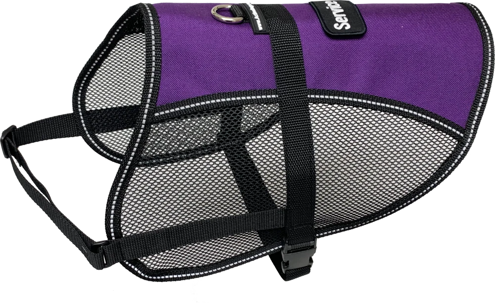 Service Dog vest with interchangeable identification patch