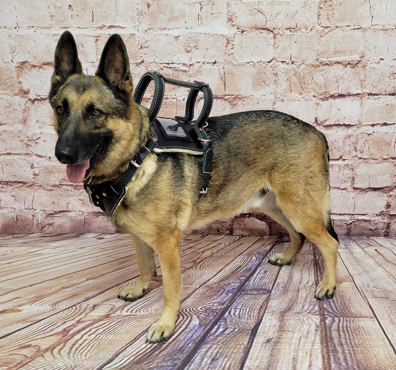 Leather Heavy Duty Mobility Harness