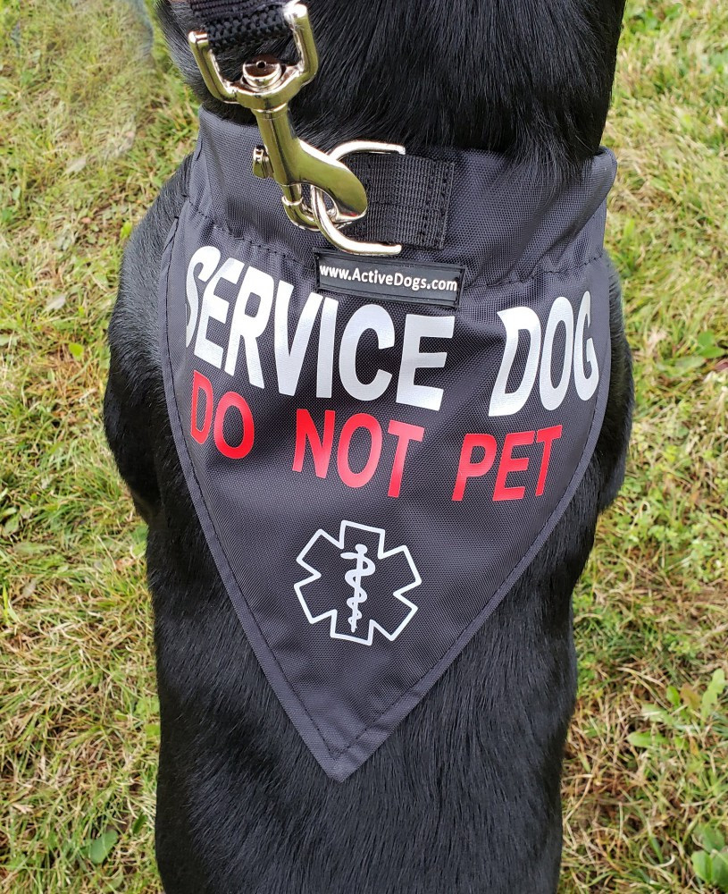 service dog scarf