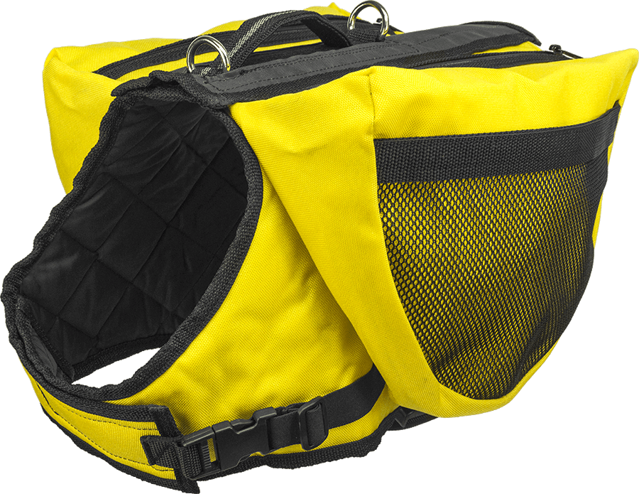 automatic puppy feeder