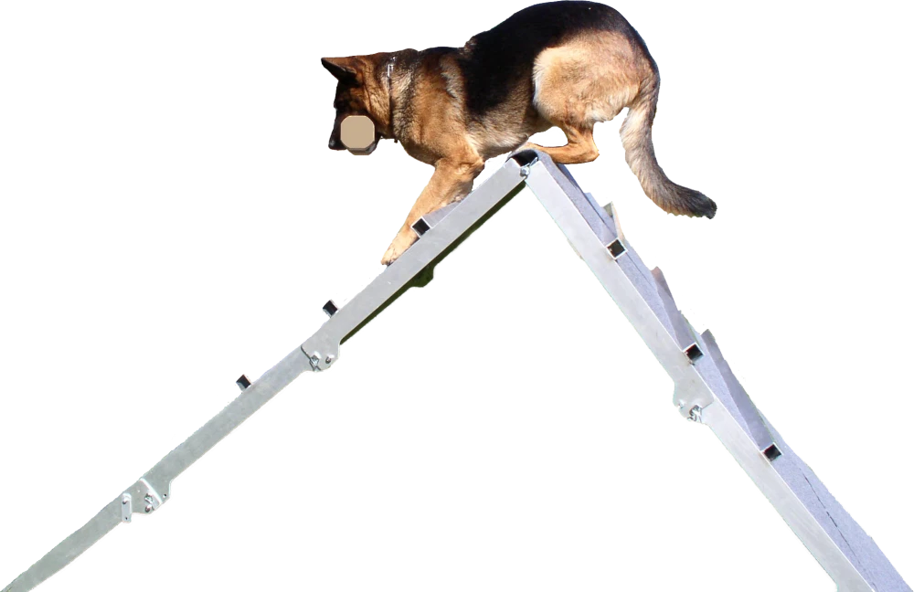 Heavy-duty Schutzhund A-frame built for police and military K9 training