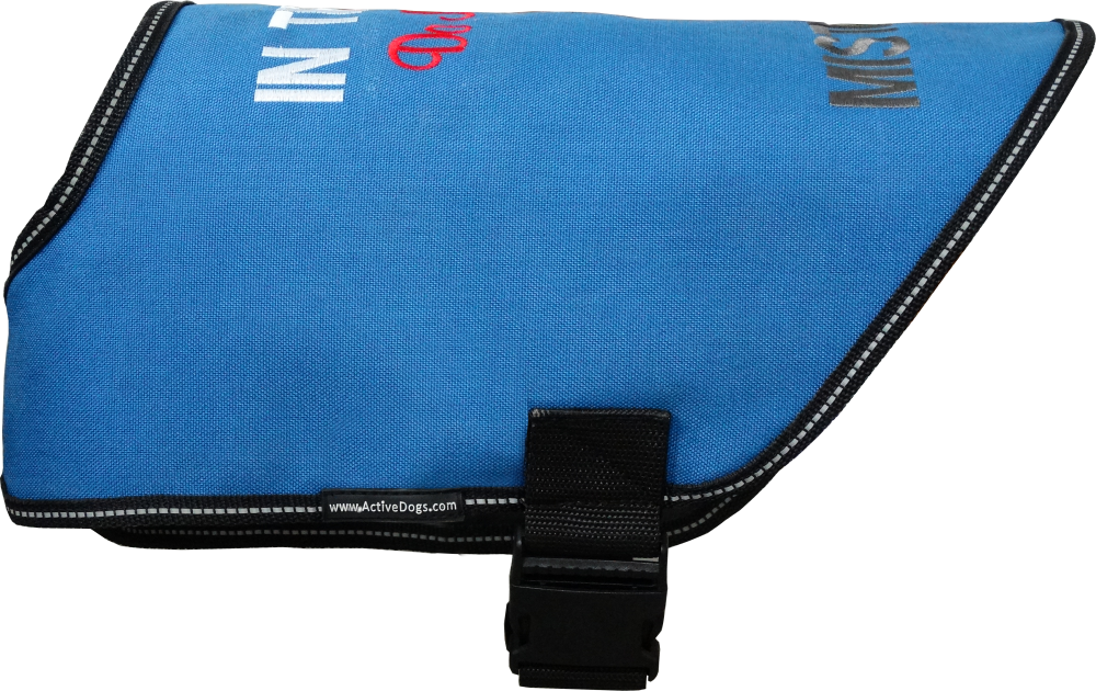 Dog In Training - Do Not Distract Jacket/Vest