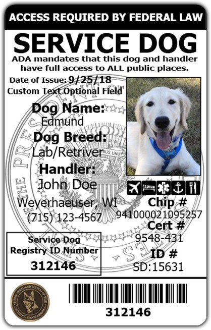 Service dog access identification