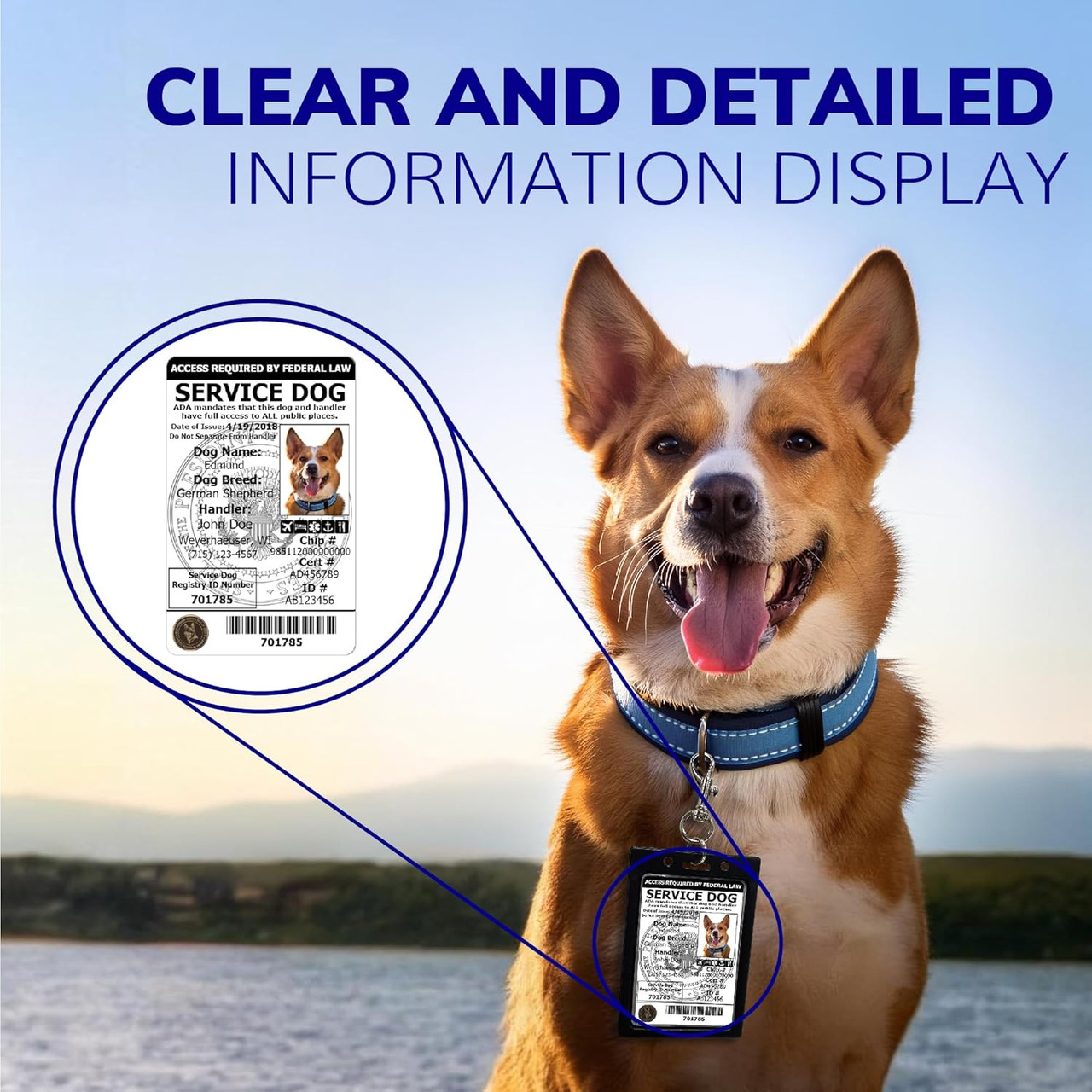 Custom service dog ID card