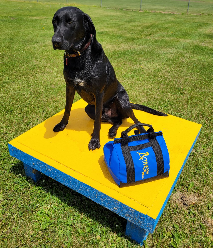 Low-Gravity Large Sand Bag Holds 20lbs for Dog Agility