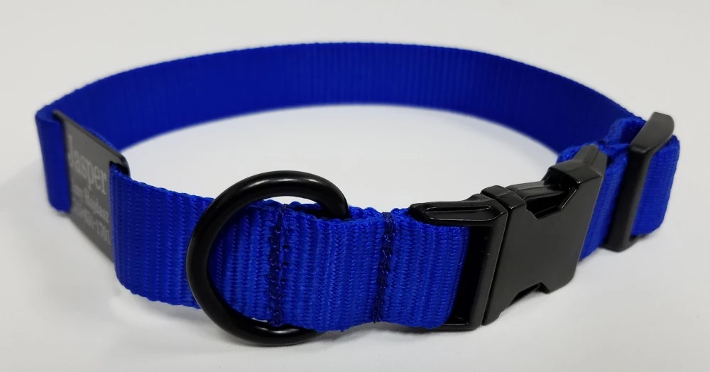 Personalized ID Nylon Dog Collar