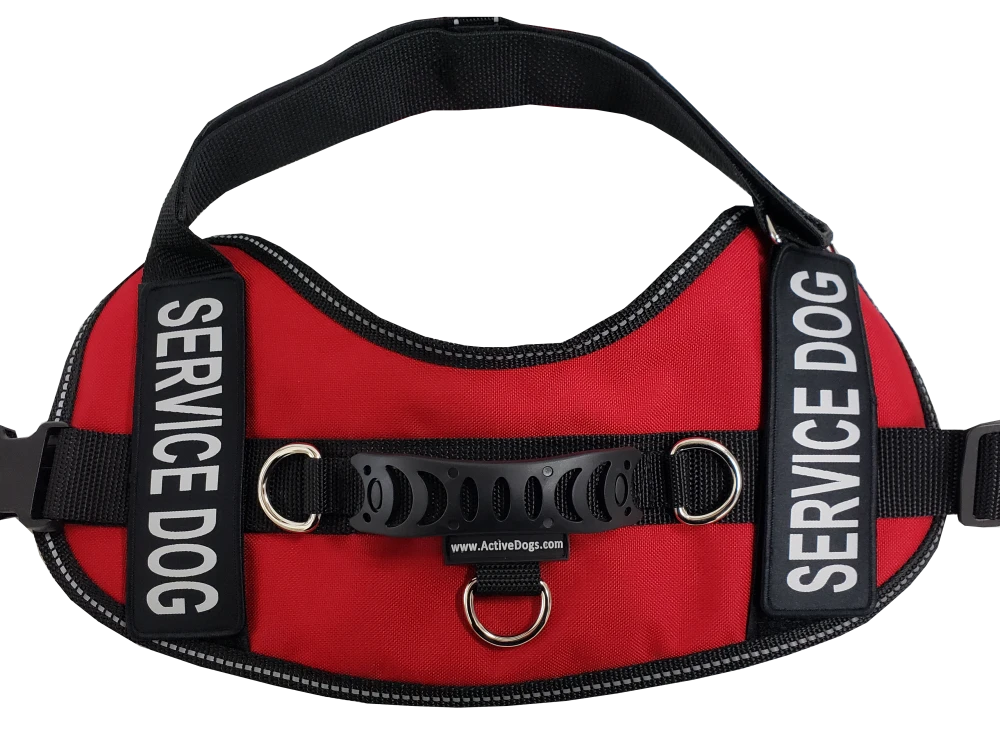 Service Dog Kit - Padded Harness Vest - Bridge Handle & ADA Cards