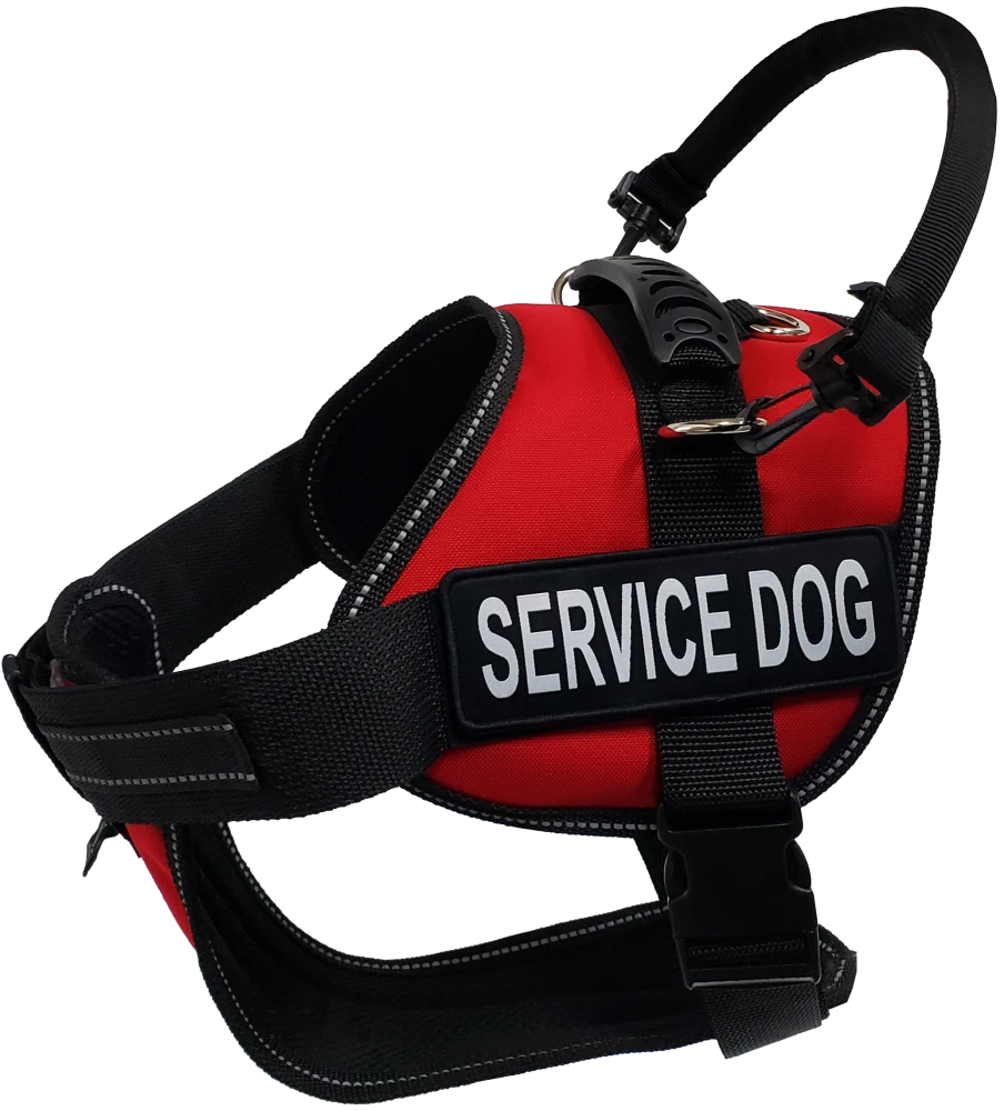 Service Dog Kit - Padded Harness Vest - Bridge Handle & ADA Cards