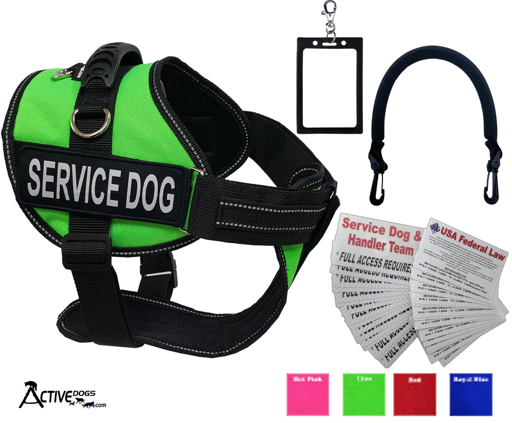Service Dog Kit - Padded Harness Vest - Bridge Handle & ADA Cards