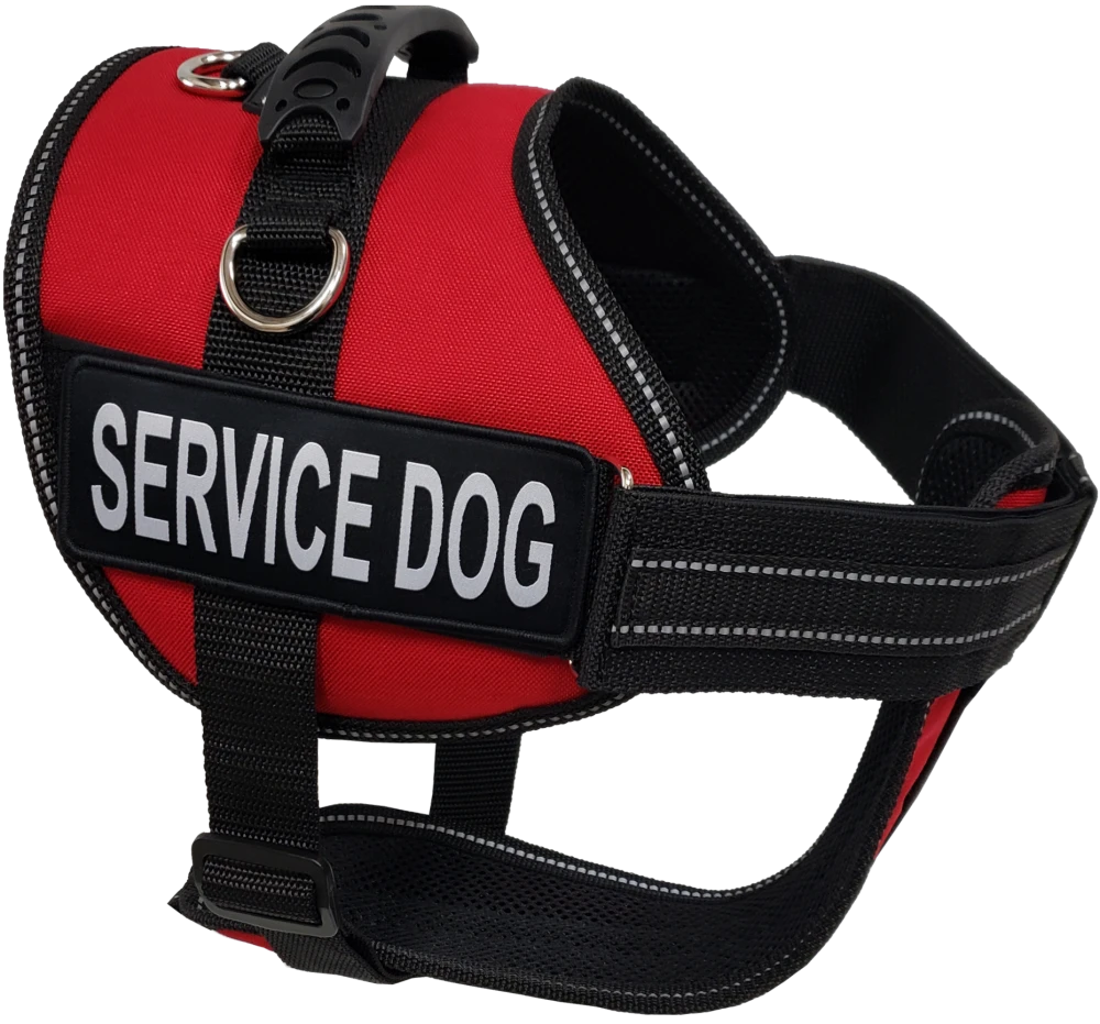 Service Dog Kit - Padded Harness Vest - Bridge Handle & ADA Cards