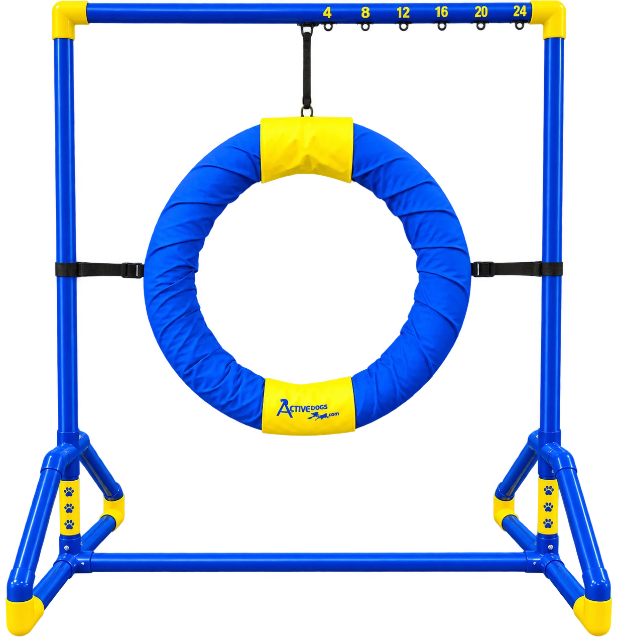 ActiveDogs agility competition tire jump blue and yellow