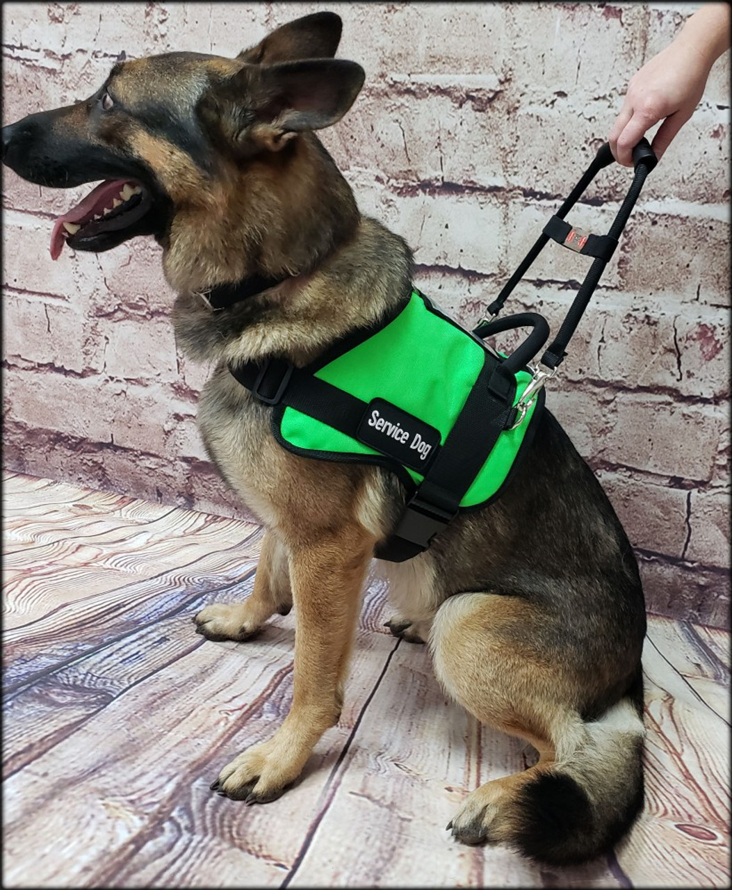 Active dog hot sale service vest