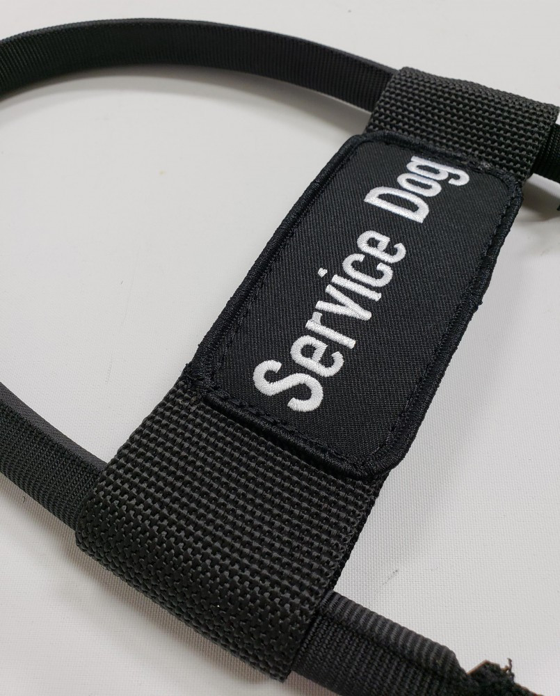 Service Dog label clearly visable