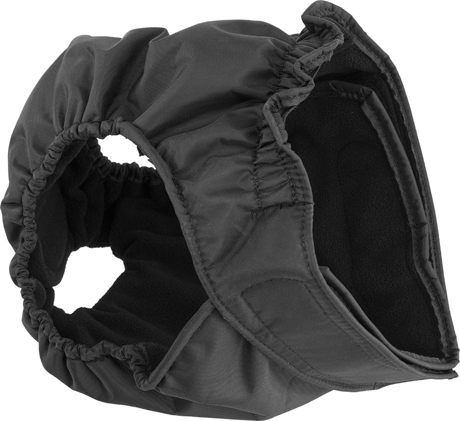 fancy nancy dog diapers