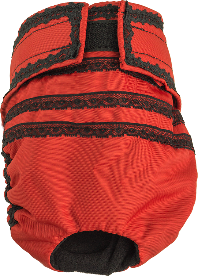 fancy pants for dogs