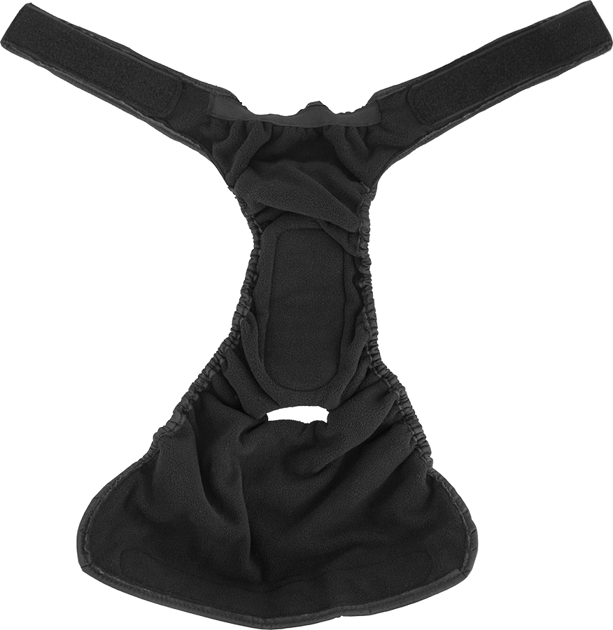 fancy nancy dog diapers