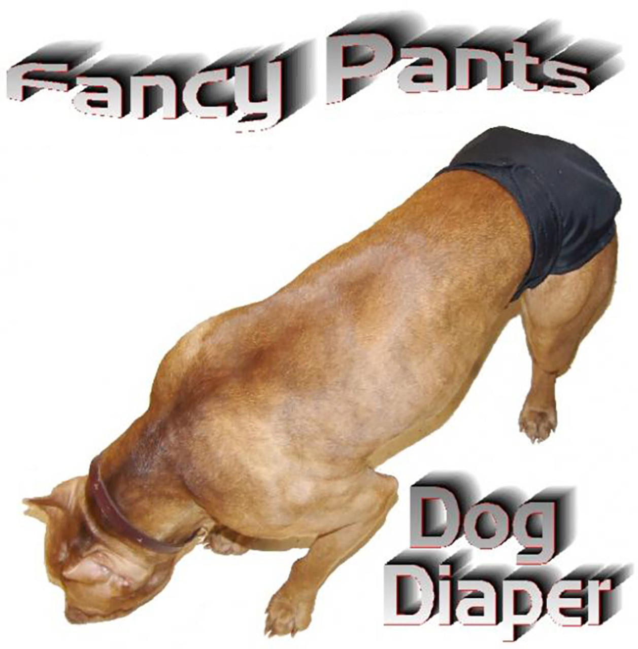 Bottom Half Dog Pants Keeps Your Dog From Getting Dirty