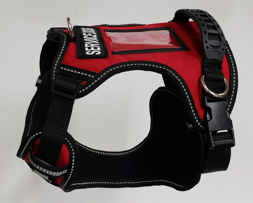 Working dog wearing an ActiveDogs padded service dog harness with adjustable straps and multiple D-ring attachment points.