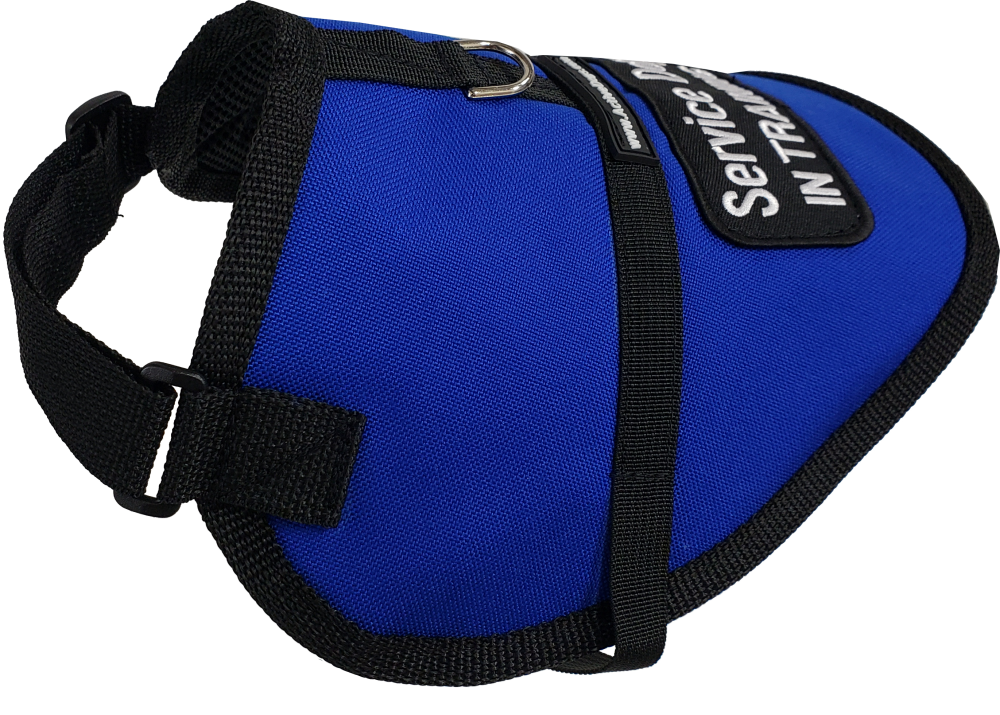 blue service dog vest