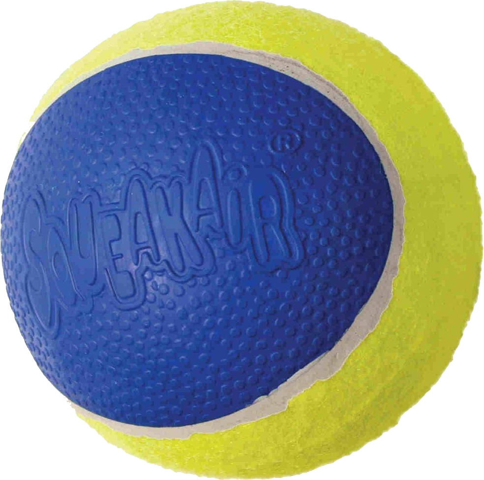 kong squeezz action ball large