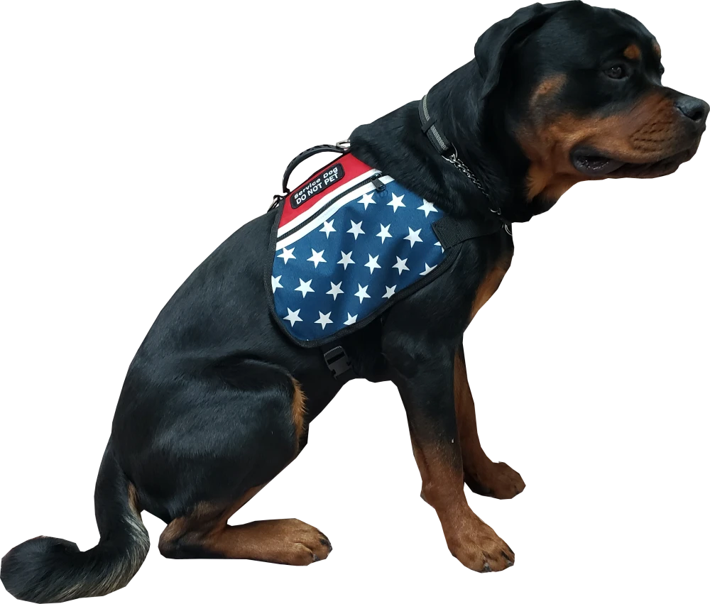 ActiveDogs patriotic red white and blue Service Dog vest