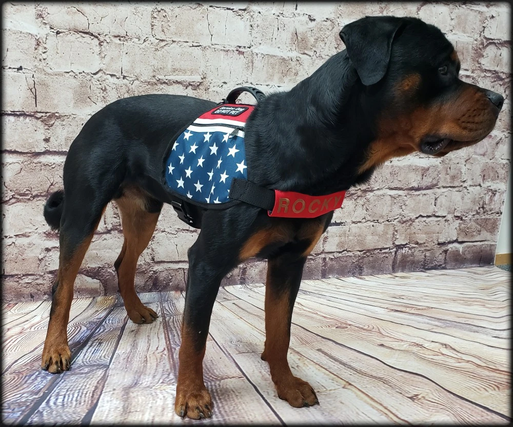 American Flag working dog vest with adjustable straps