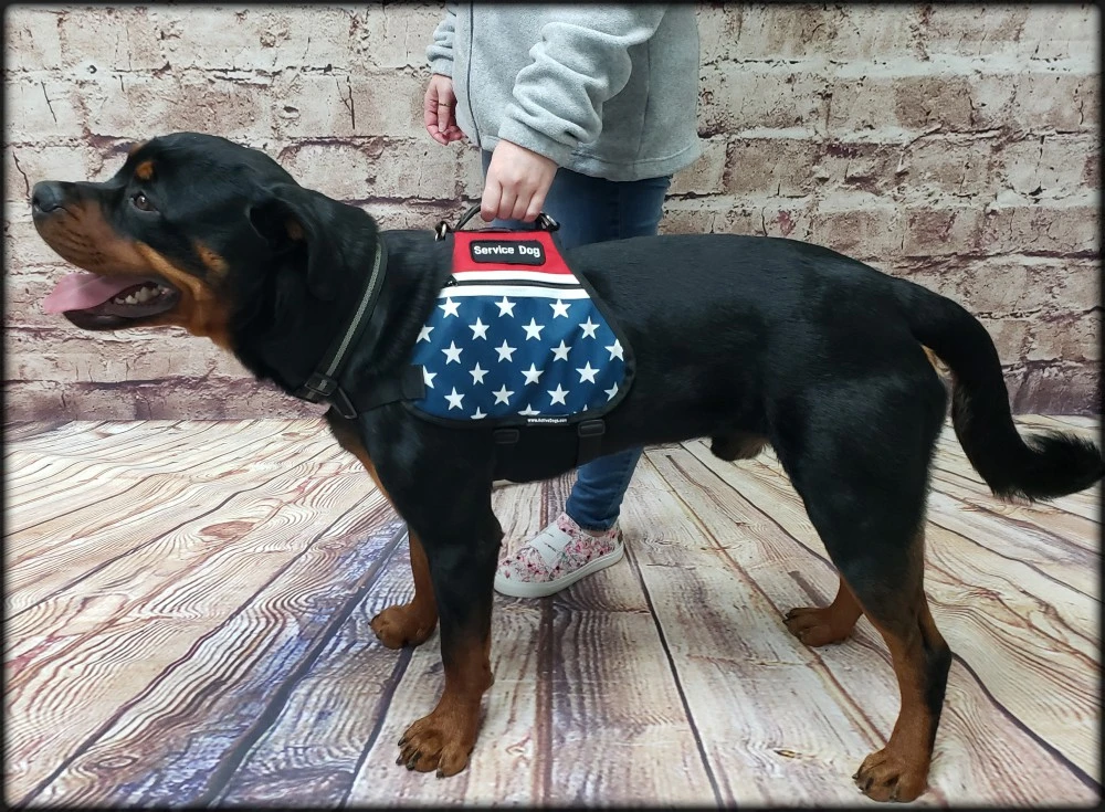 American Flag Service Dog vest for veterans