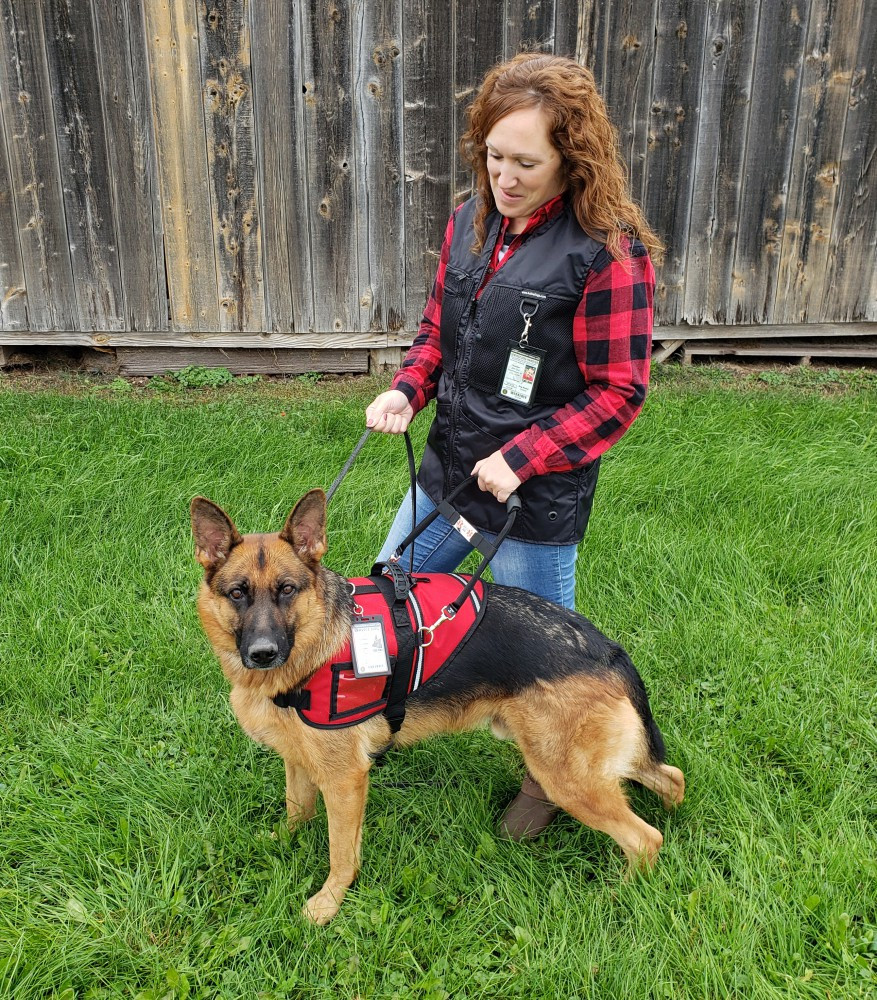 Service dog handler ID card