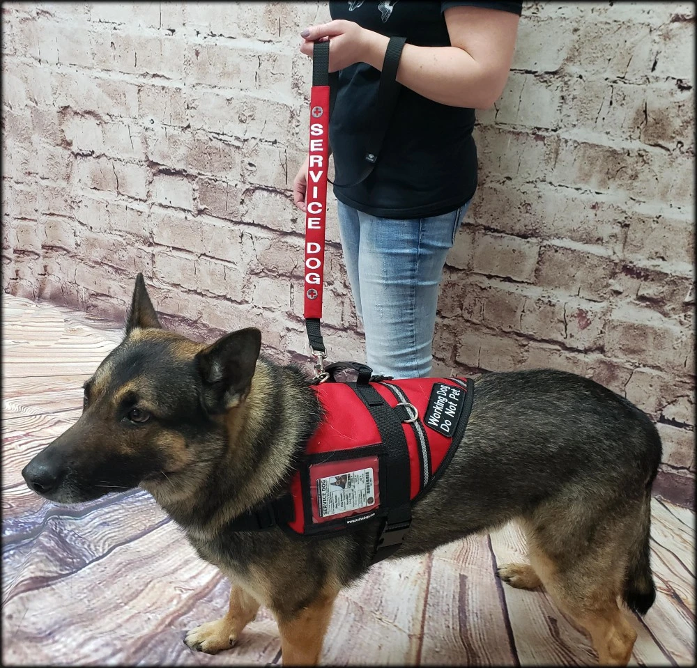 Service Dog Leash Sleeve with Velcro Closure