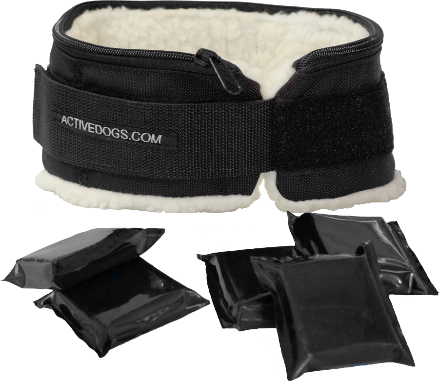 weight collars for pitbulls