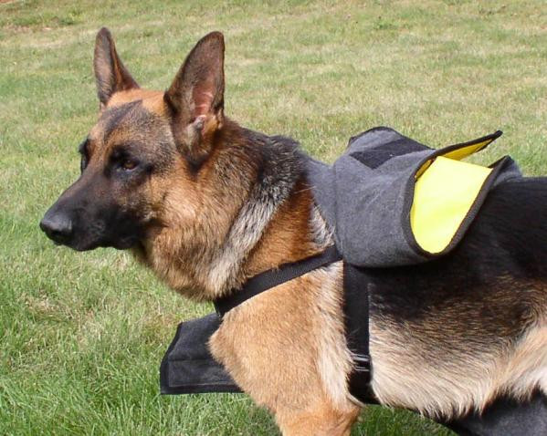 service dog raincoat