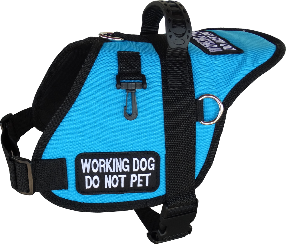 blue service dog vest
