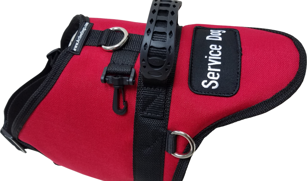 active dog service vest