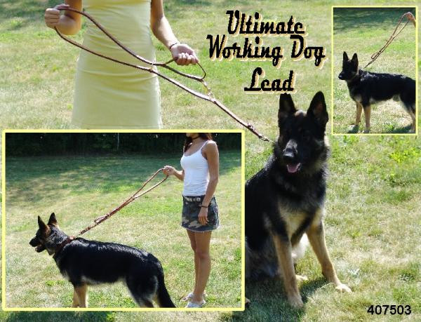 working dog leash