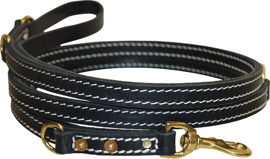 working dog leash