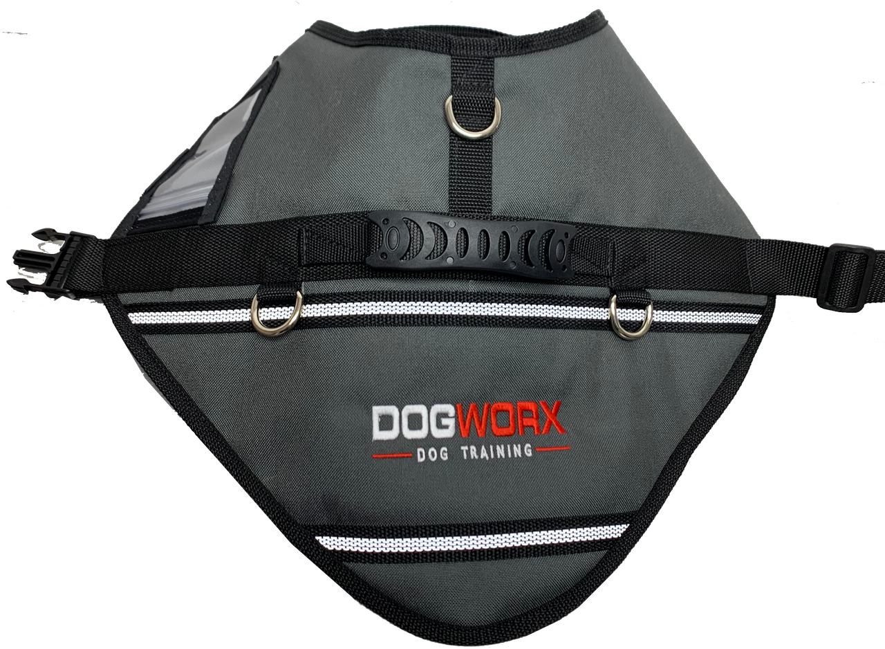 Custom Logo S&R Style Vest