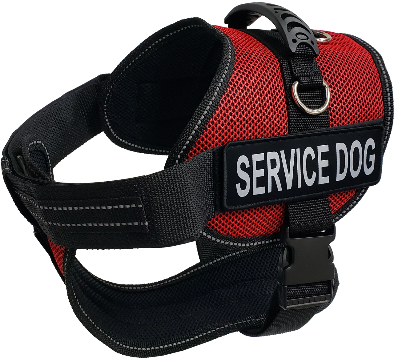 Service Dog kit with chrome identification tag