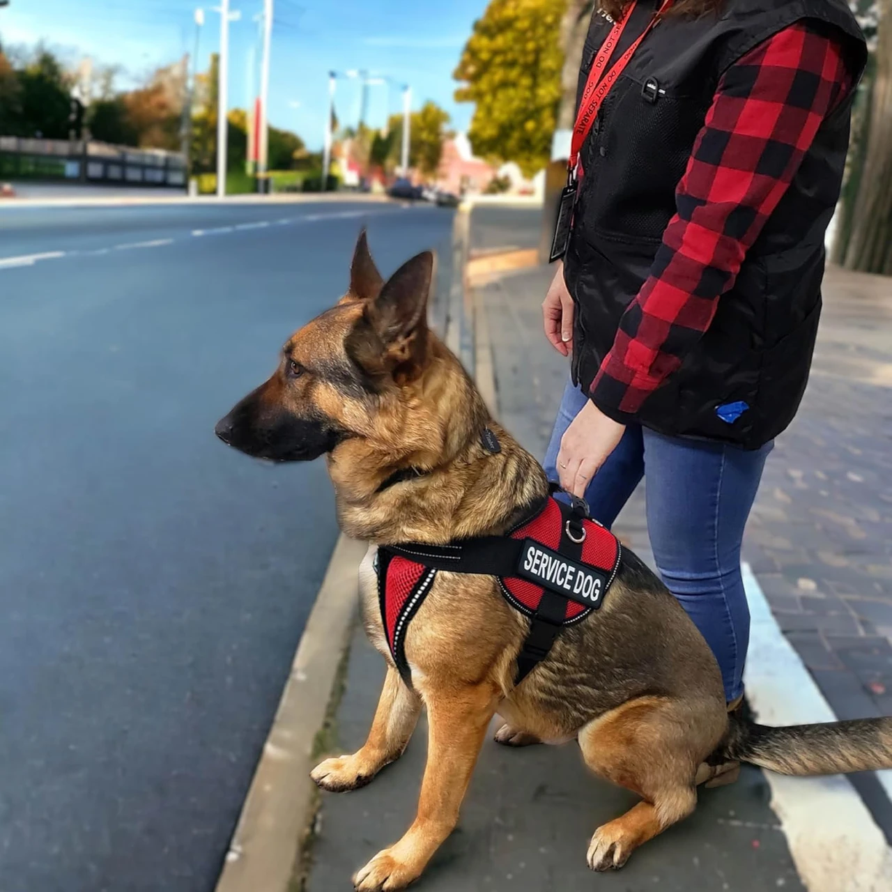 ActiveDogs complete Service Dog starter package