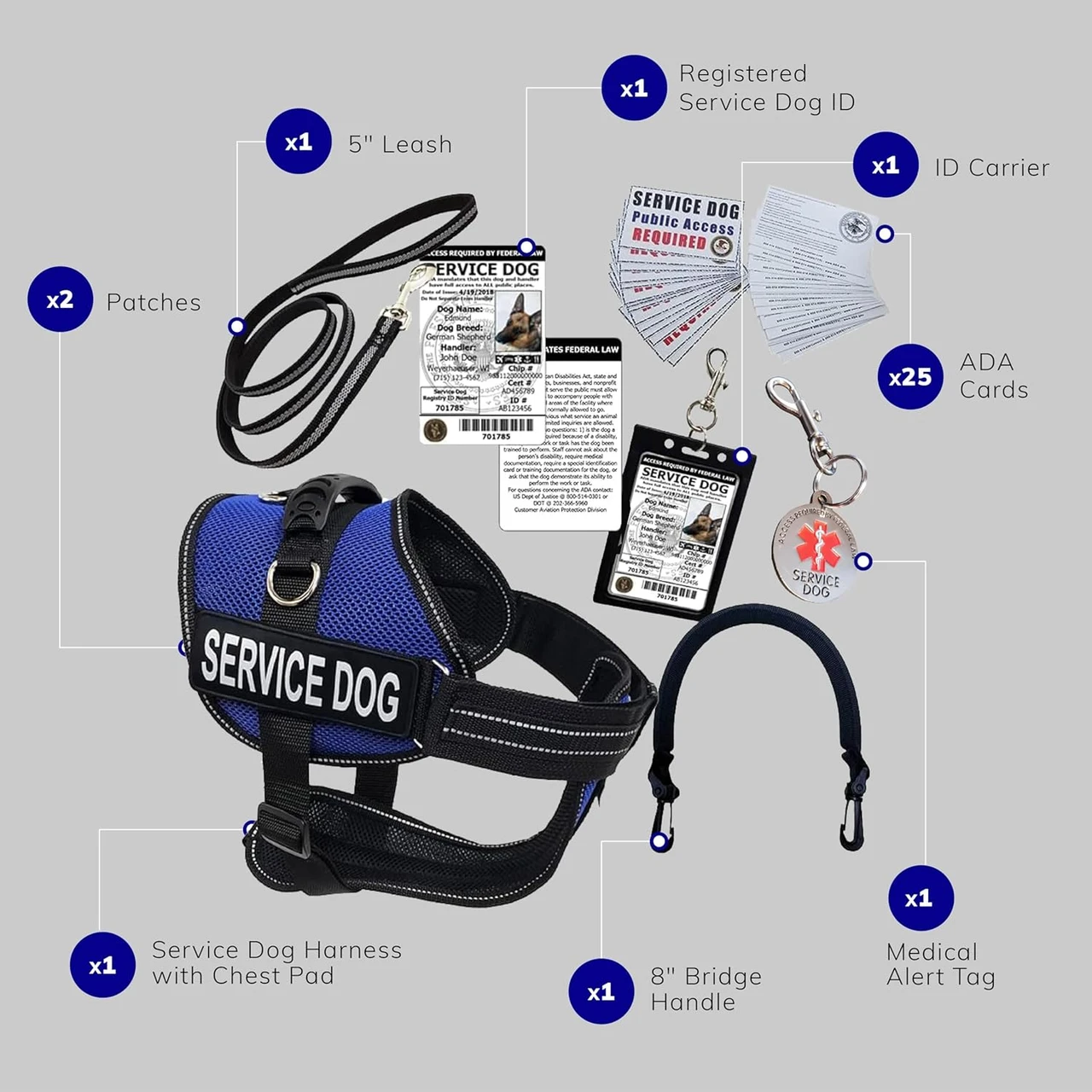 Service Dog starter kit with personalized ID card
