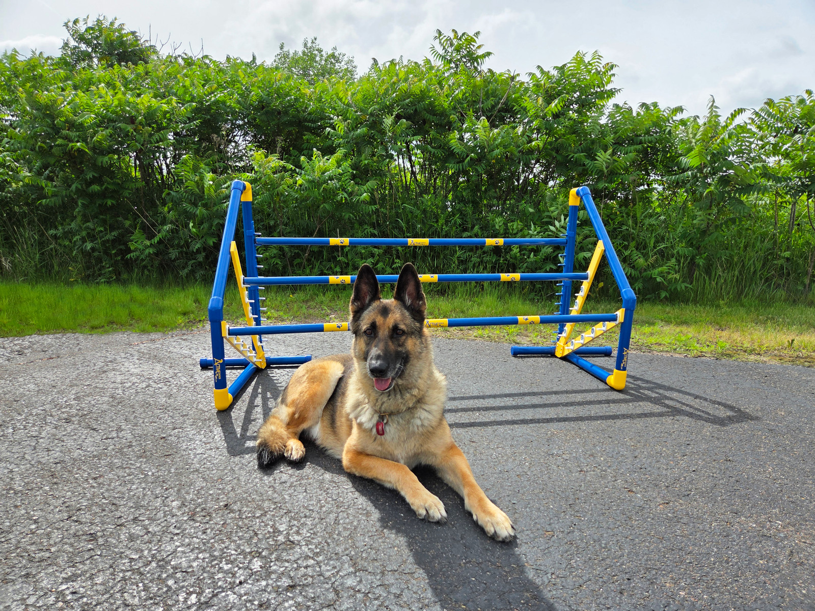 Agility Ascending Double Bar Jump - Main Image