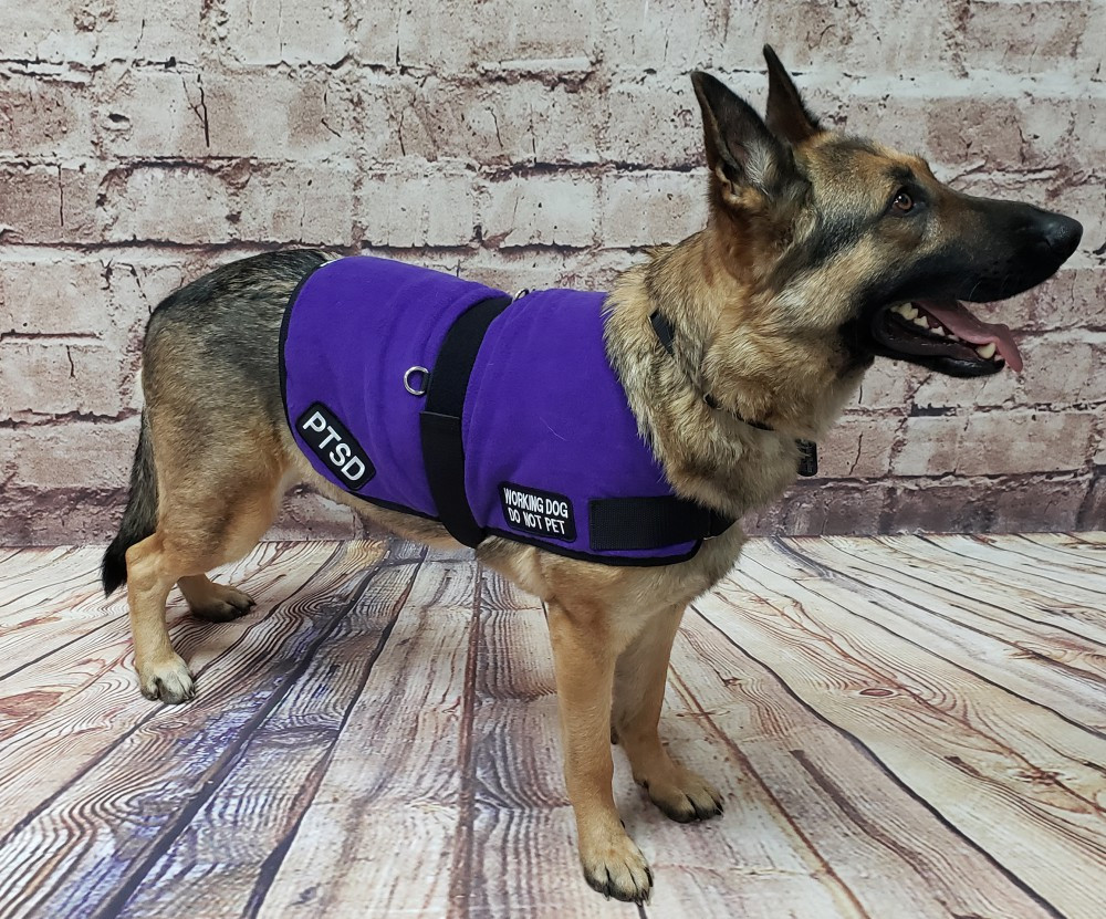 ActiveDogs.com Working Service Dog Insulated Adjustable Fleece Vest