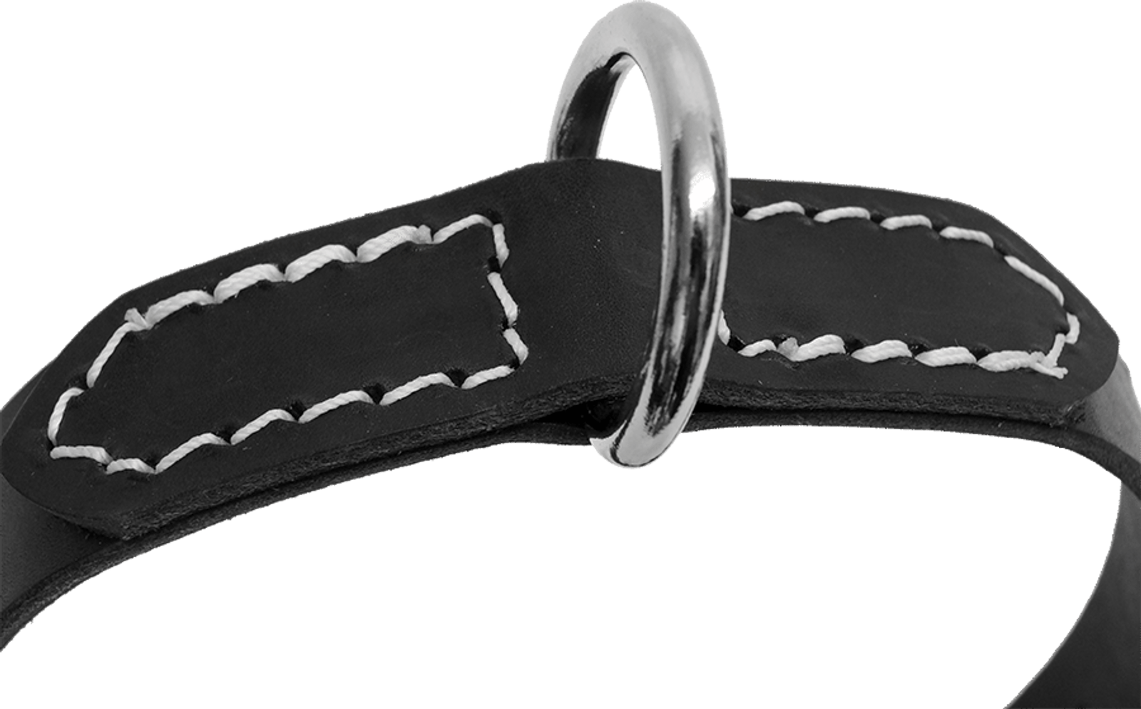 20x1 inch D-Ring Collar (Also can be used as Replacement Collars