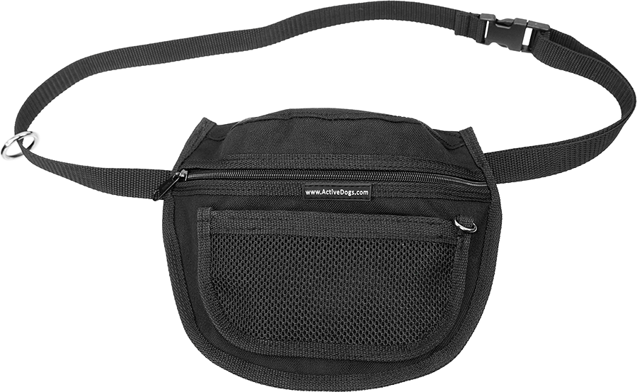 Hands Free Waist Dog Leash with Storage Bag | Bungee Dog Leash System