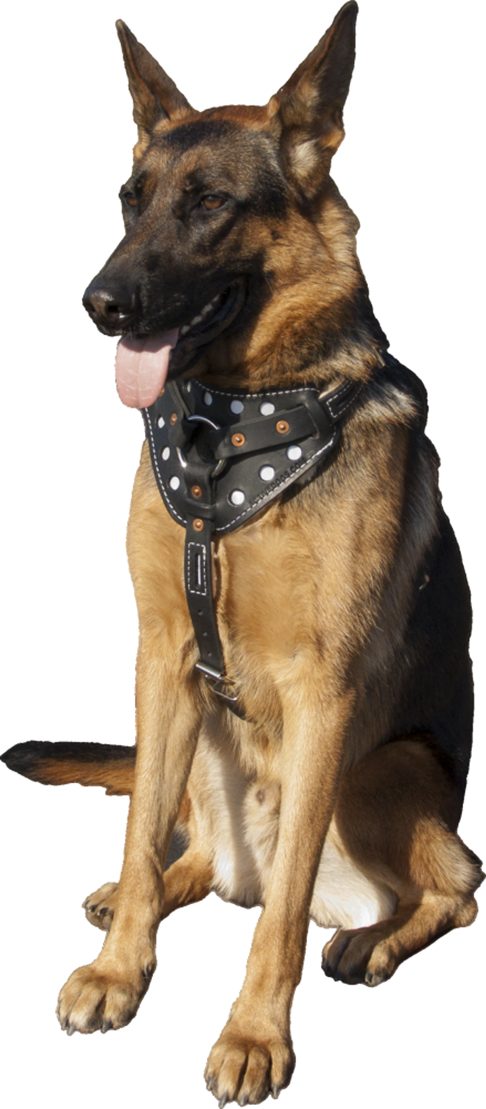 Padded Leather K9 Dog Harness w/ Sheepskin Lining 