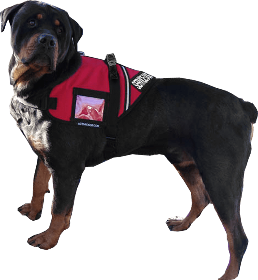 service animal jacket