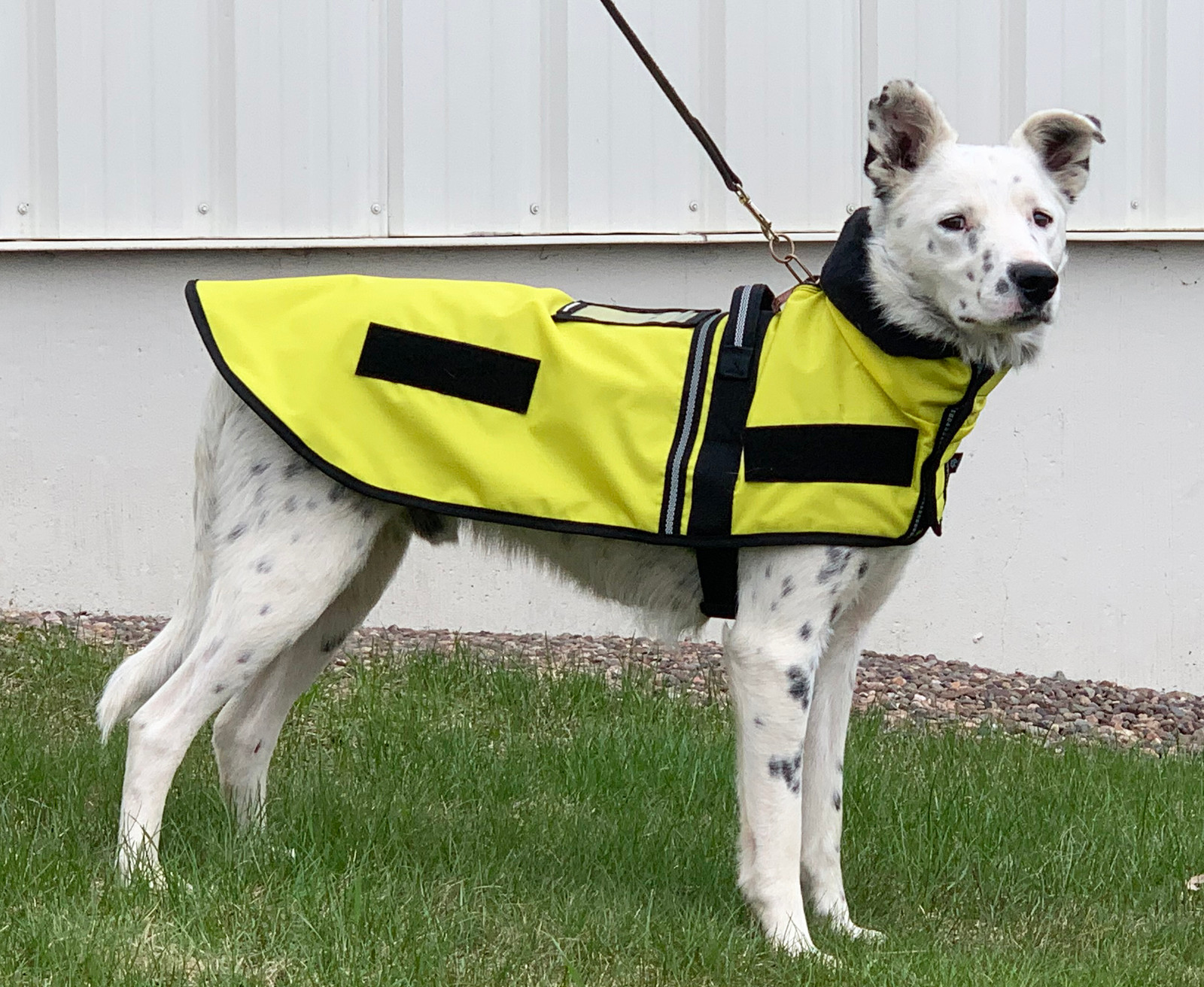 Fleece Lined Raincoat