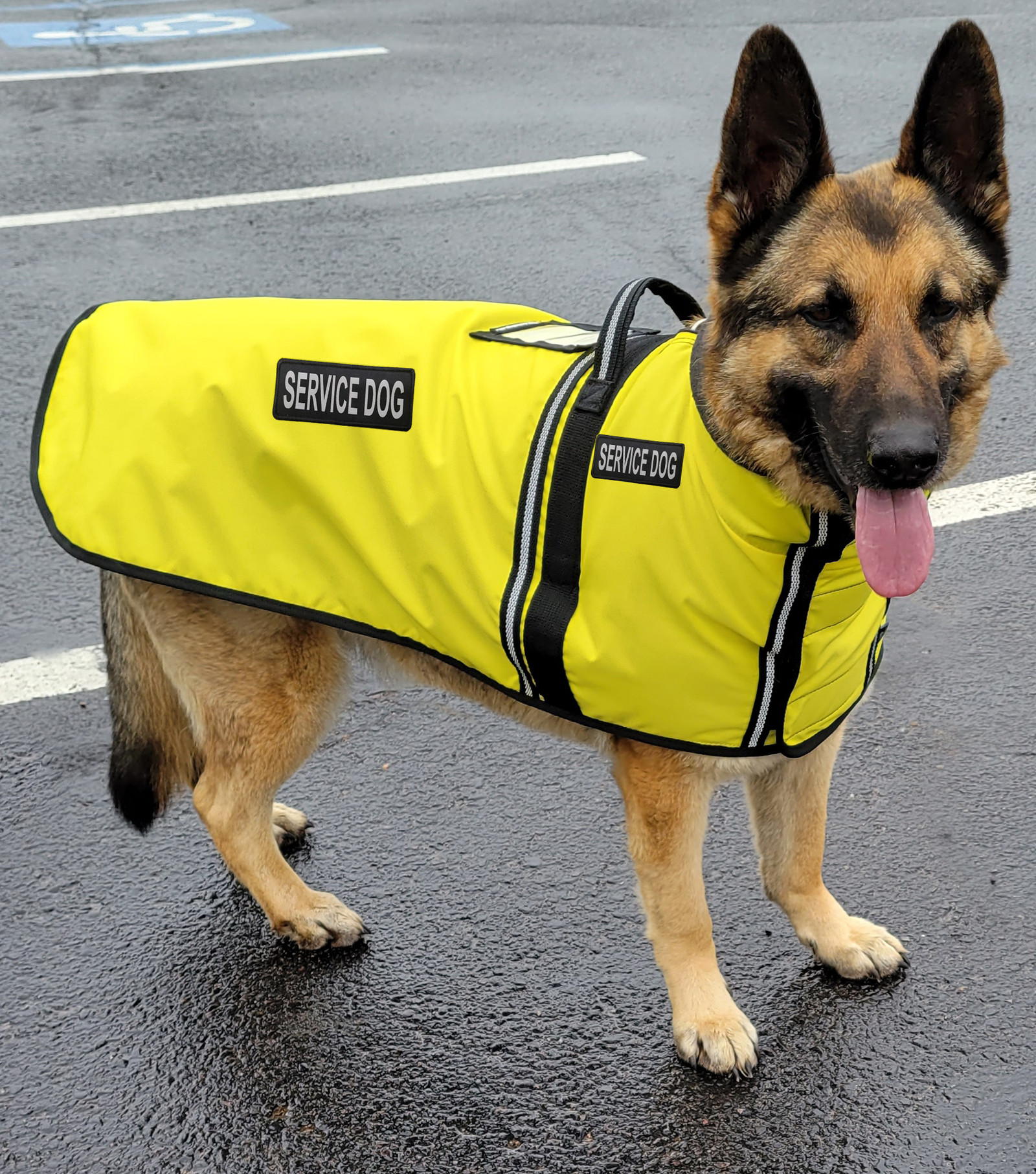 Fleece Lined Raincoat