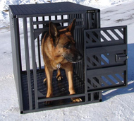 Crate Training