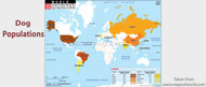 Why do Americans love dogs?  Dog Population...