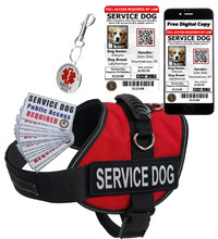 Service dog handler ID card